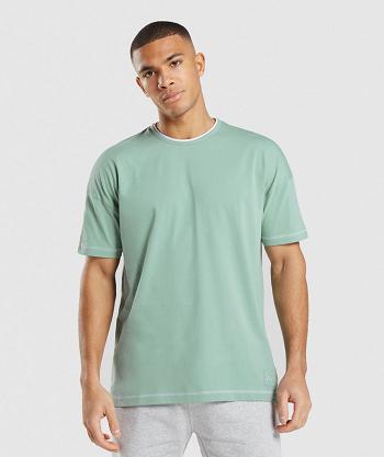 Pánské T Shirts Gymshark Recess Blankyt Bílé | CZ 2448LIS